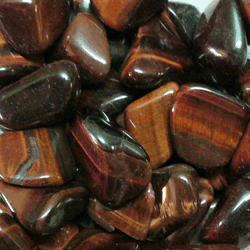Oeil de taureau